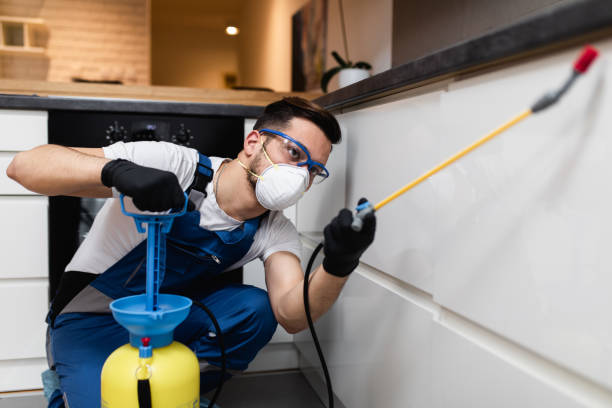 Best Pest Prevention Services  in Buffalo, SC