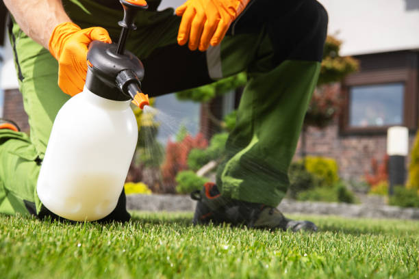 Reliable Buffalo, SC Pest Control Solutions