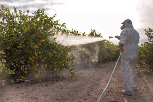 Best Pest Control Near Me  in Buffalo, SC