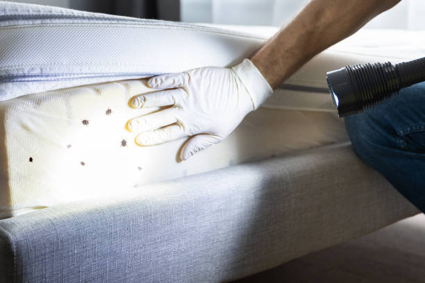 Best Exterminator Services  in Buffalo, SC