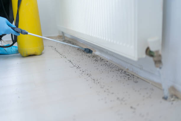 Best Pest Removal Services  in Buffalo, SC