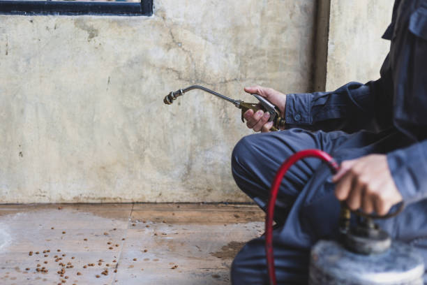 Best Commercial Pest Control Services  in Buffalo, SC